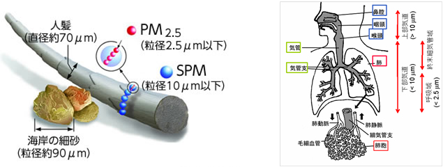 PM2.5（出典：環境省HP）
