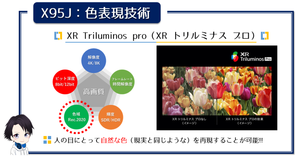 XR Triluminos pro（トリルミナス プロ）